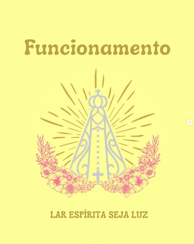 Símbolo floral do Lar Espírita Seja Luz